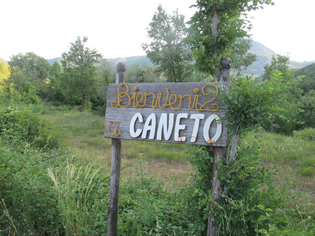 El Ensueno Caneto